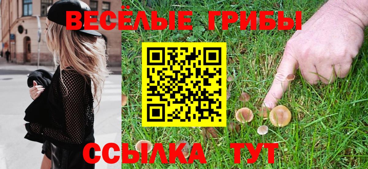 Галлюциногенные грибы Magic Shrooms  Вход с VPN  Лесозаводск  Псилоцибиновые грибы Cubensis 